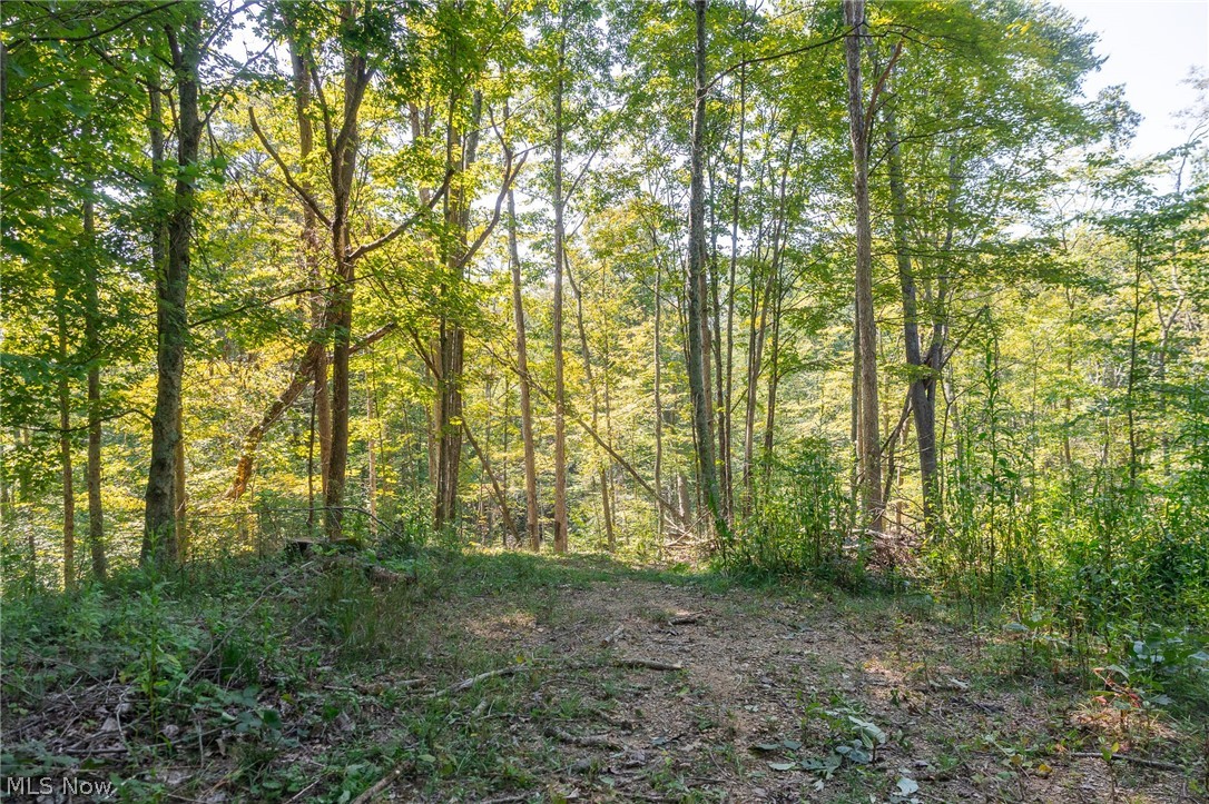 0 4 County Road 269 Glouster OH 43730