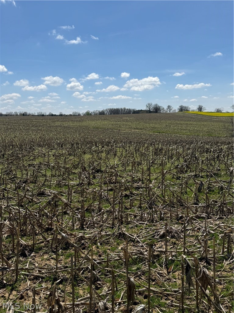 V/l Bieri Road Marshallville OH 44645