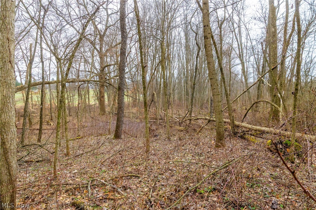 Pigeon Run Avenue SW Navarre OH 44662