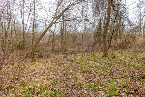 Pigeon Run Avenue SW Navarre OH 44662
