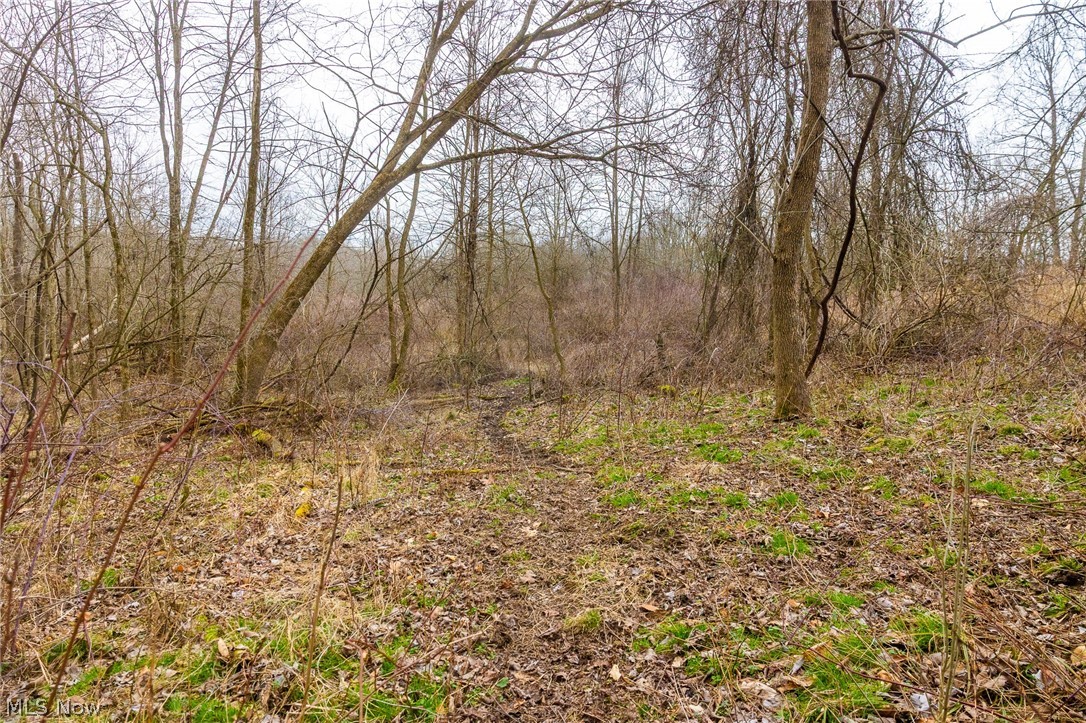 Pigeon Run Avenue SW Navarre OH 44662