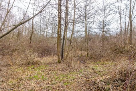 Pigeon Run Avenue SW Navarre OH 44662