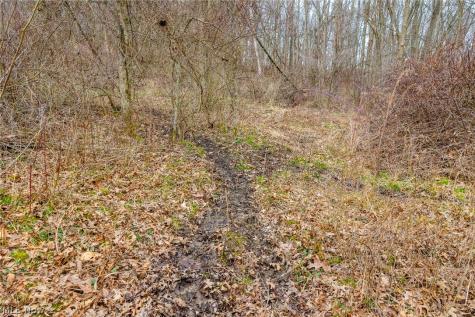 Pigeon Run Avenue SW Navarre OH 44662