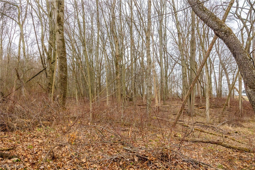Pigeon Run Avenue SW Navarre OH 44662