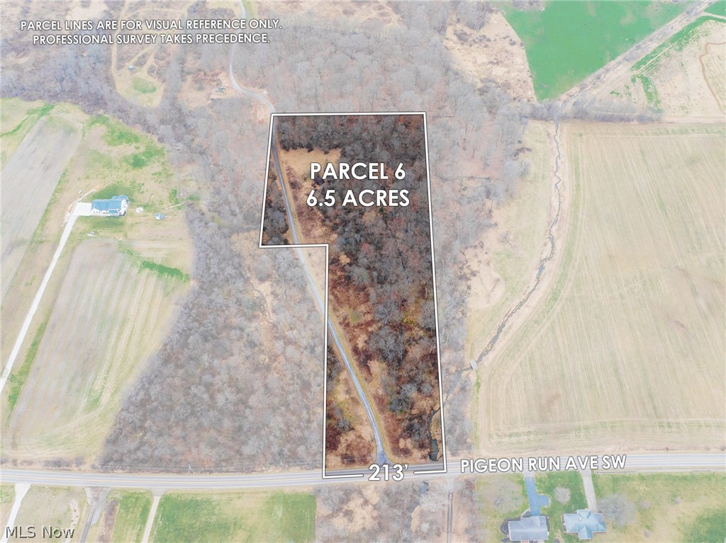 Pigeon Run Avenue SW Navarre OH 44662