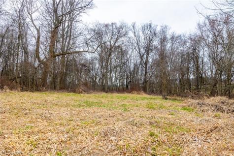 Pigeon Run Avenue SW Navarre OH 44662