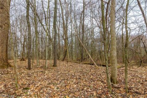 Pigeon Run Avenue SW Navarre OH 44662