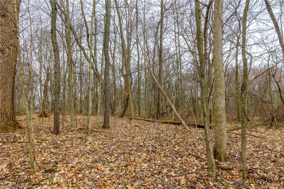 Pigeon Run Avenue SW Navarre OH 44662