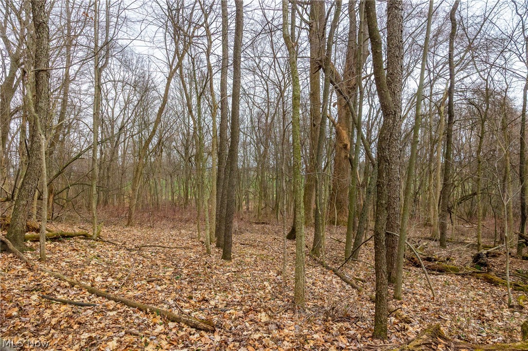 Pigeon Run Avenue SW Navarre OH 44662