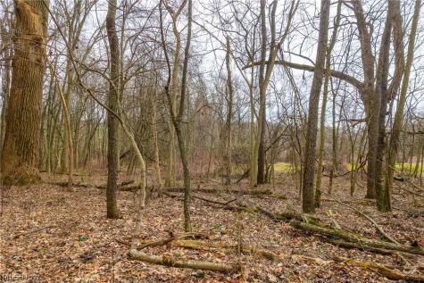 Pigeon Run Avenue SW Navarre OH 44662