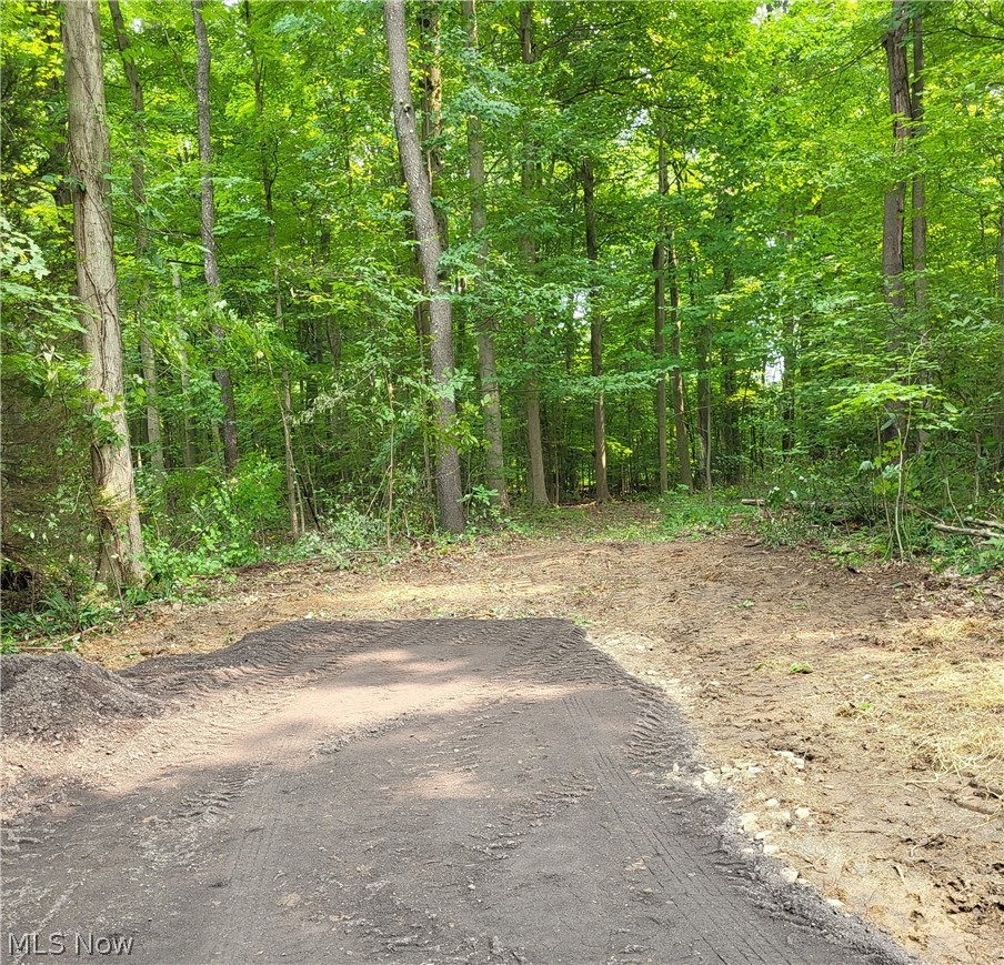 13561 Colony Lane Burton OH 44021
