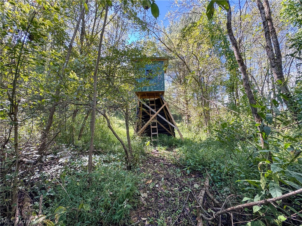 37817 Township Road 437a Dresden OH 43821