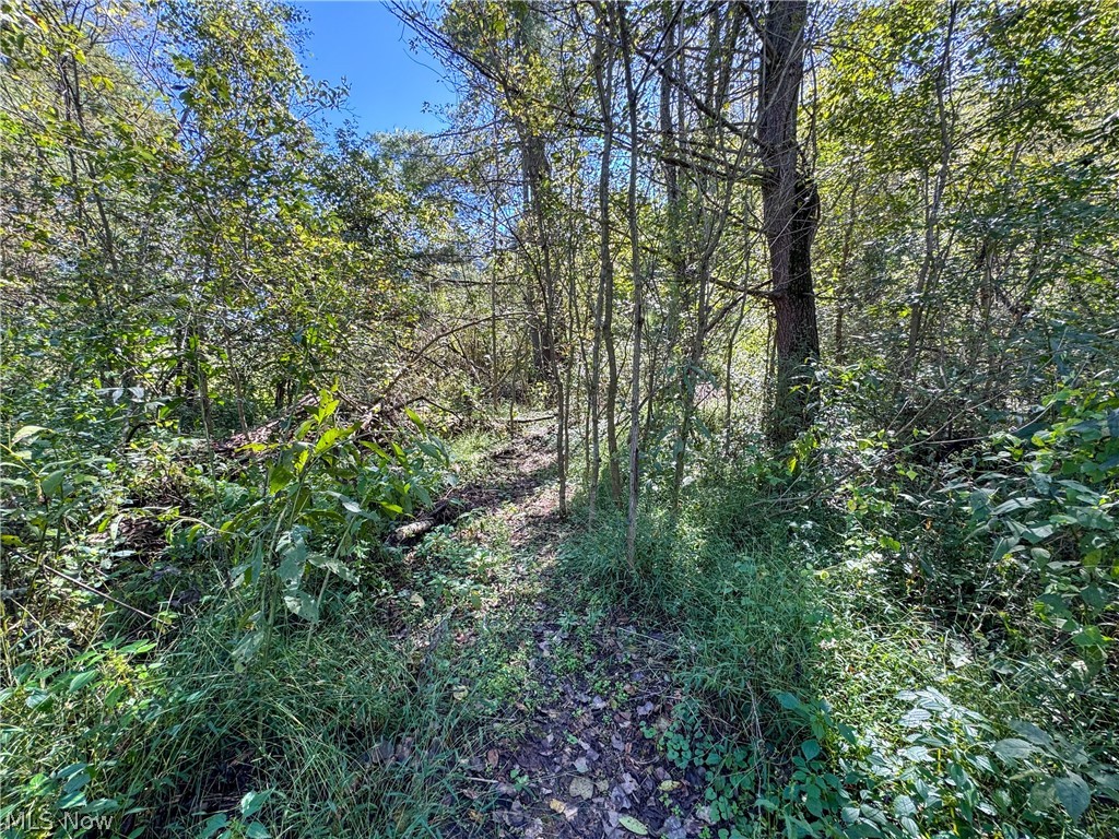37817 Township Road 437a Dresden OH 43821
