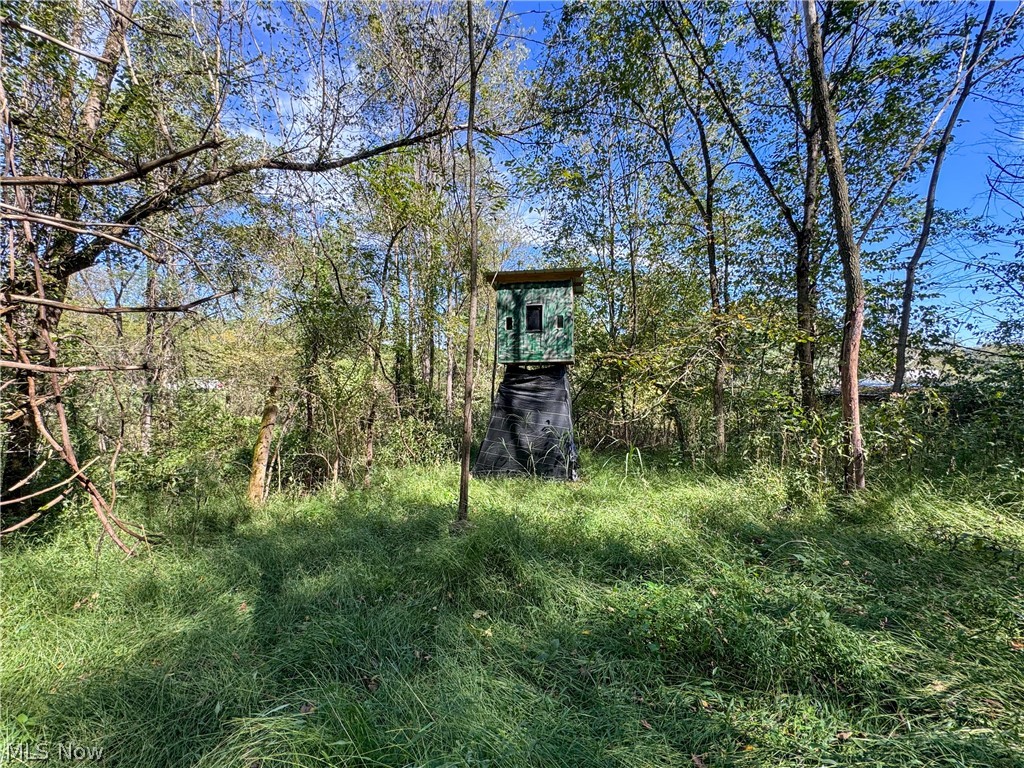 37817 Township Road 437a Dresden OH 43821