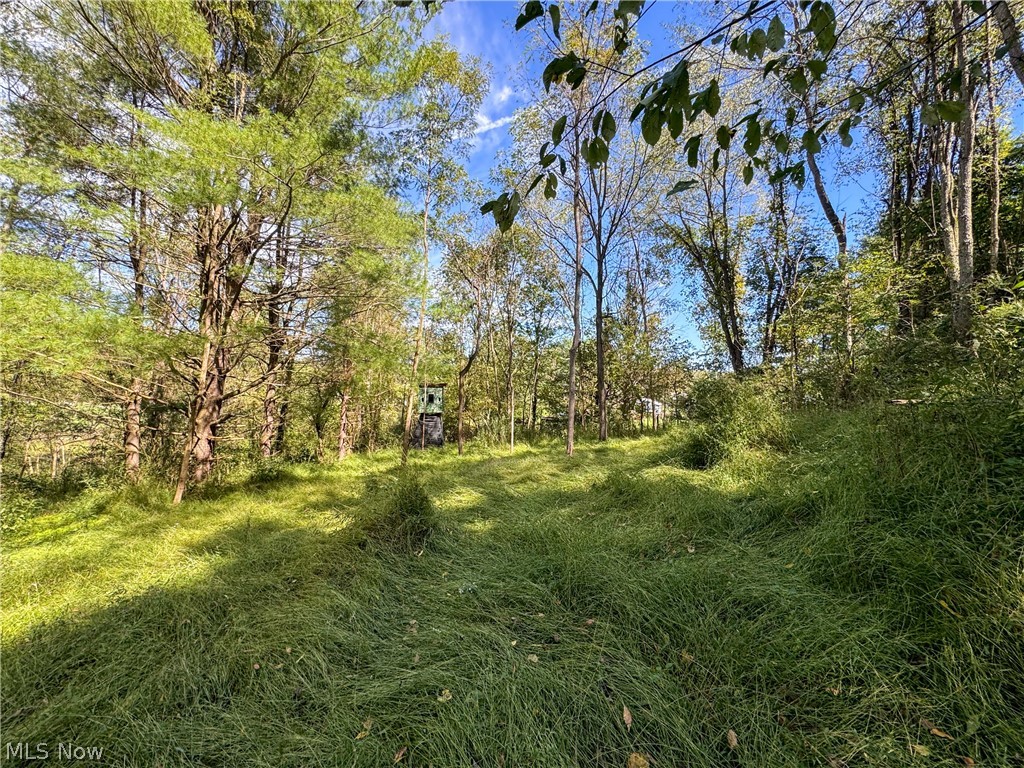 37817 Township Road 437a Dresden OH 43821