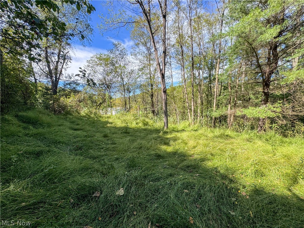 37817 Township Road 437a Dresden OH 43821