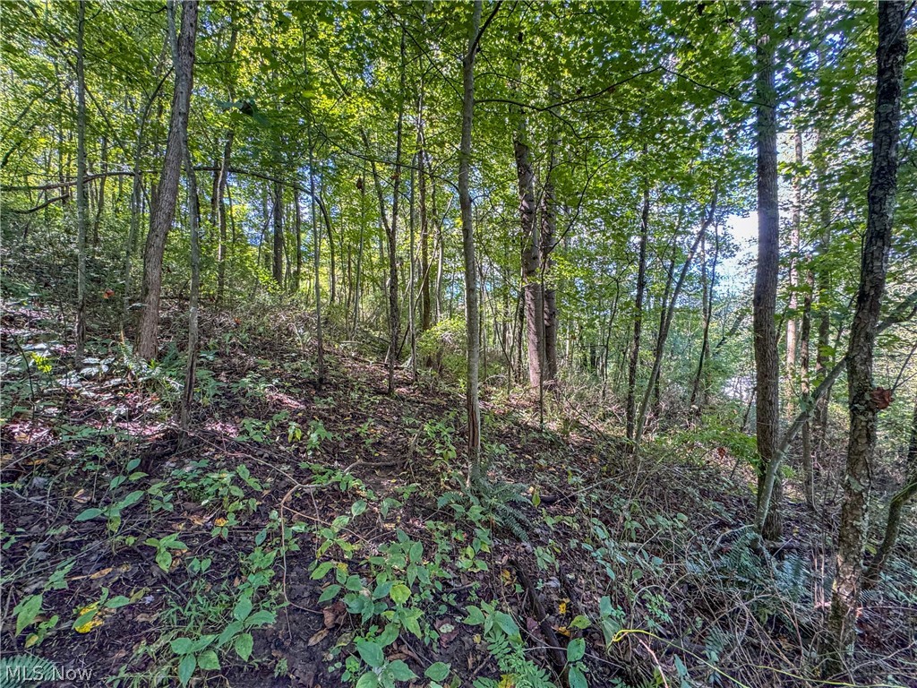37817 Township Road 437a Dresden OH 43821