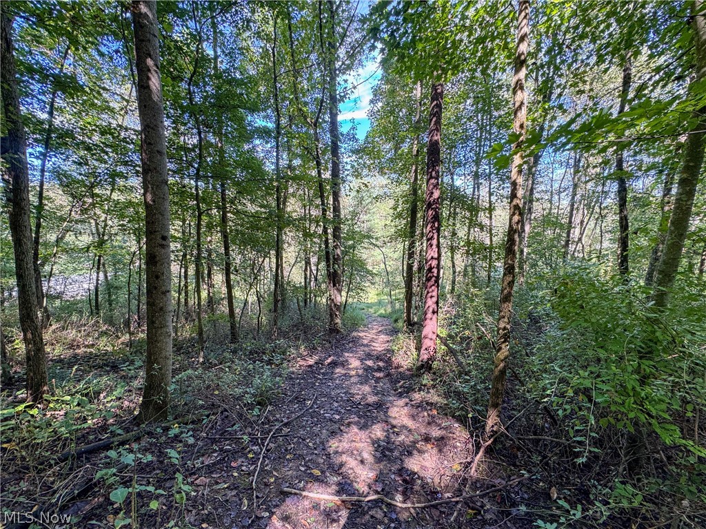 37817 Township Road 437a Dresden OH 43821