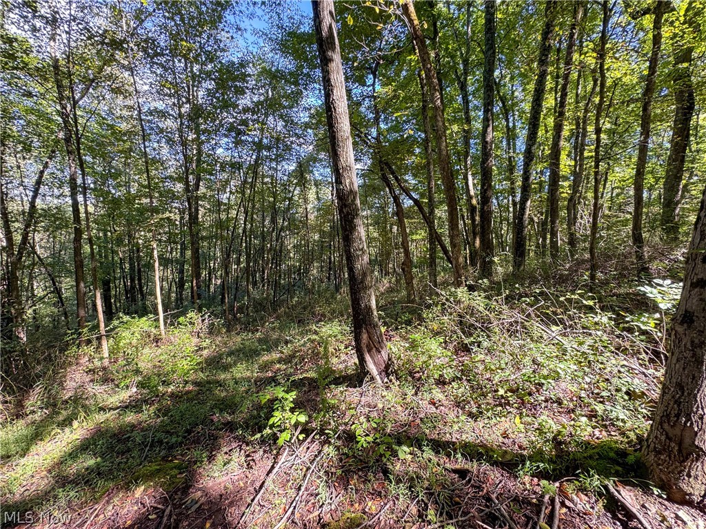 37817 Township Road 437a Dresden OH 43821