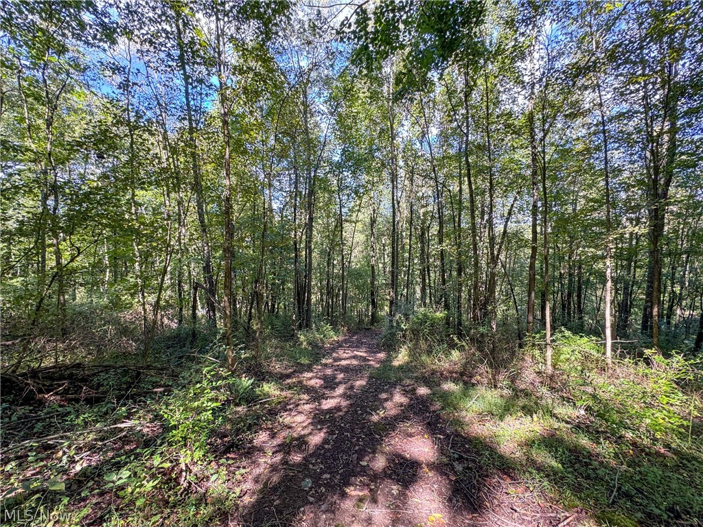 37817 Township Road 437a Dresden OH 43821