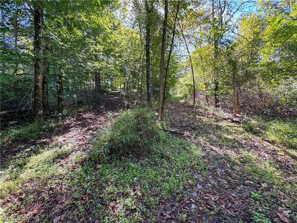 37817 Township Road 437a Dresden OH 43821