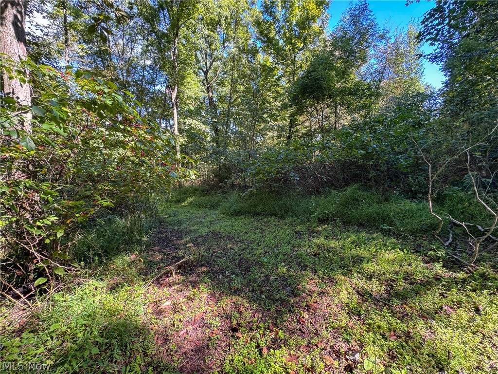 37817 Township Road 437a Dresden OH 43821