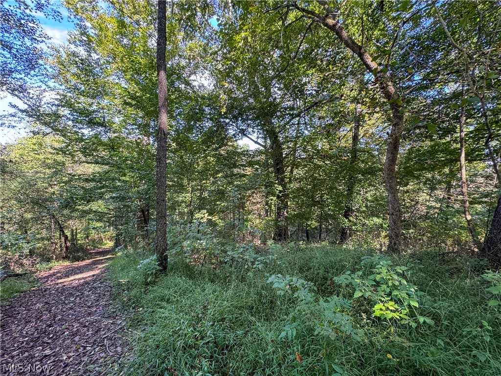 37817 Township Road 437a Dresden OH 43821