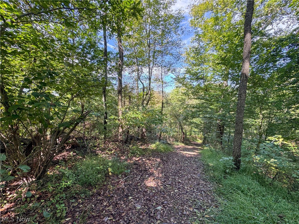 37817 Township Road 437a Dresden OH 43821