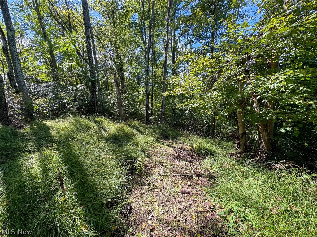 37817 Township Road 437a Dresden OH 43821