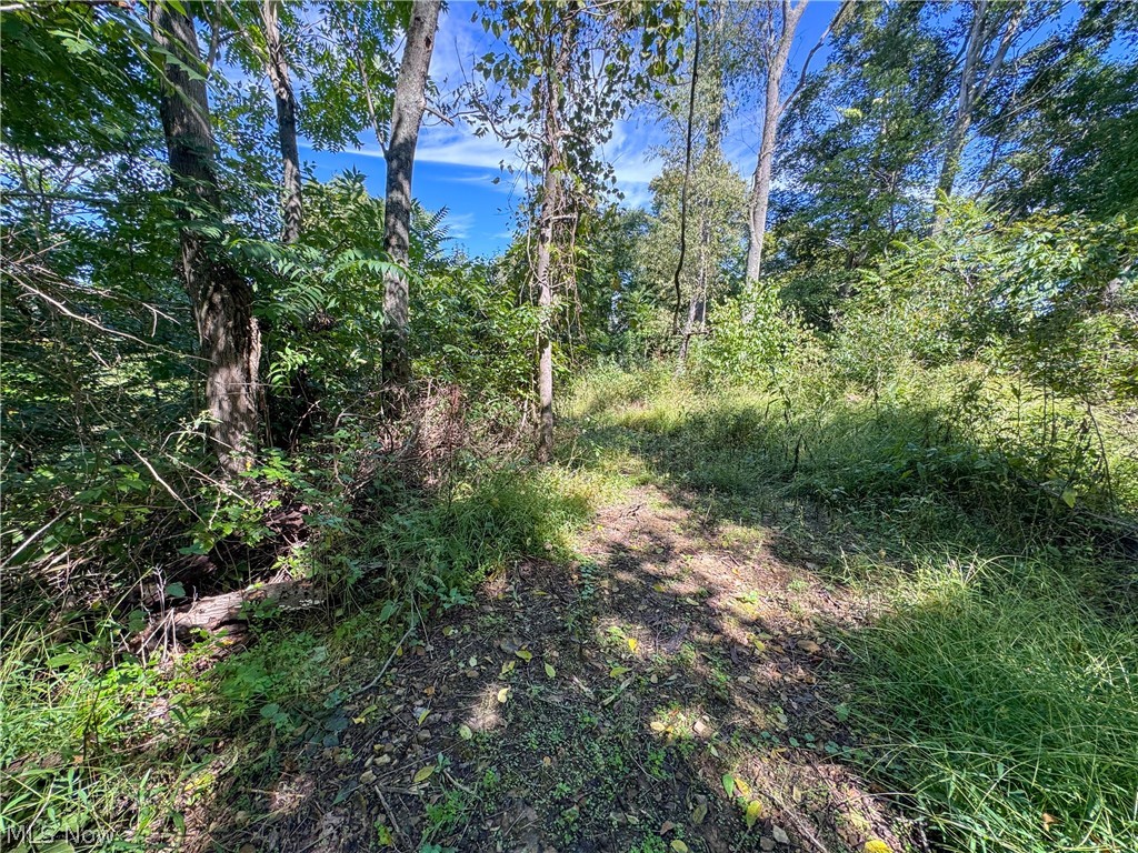 37817 Township Road 437a Dresden OH 43821
