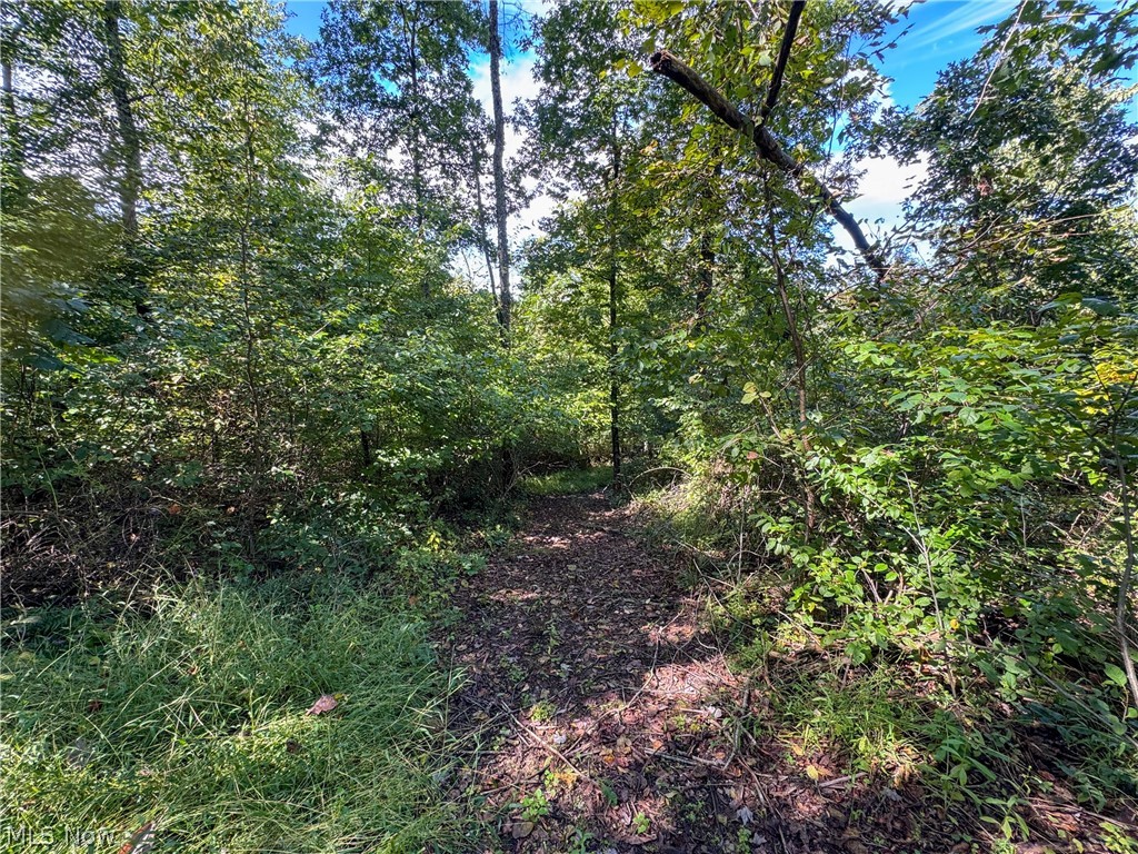 37817 Township Road 437a Dresden OH 43821