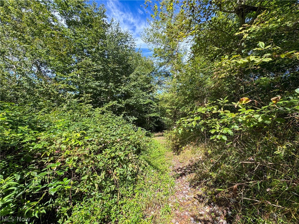 37817 Township Road 437a Dresden OH 43821