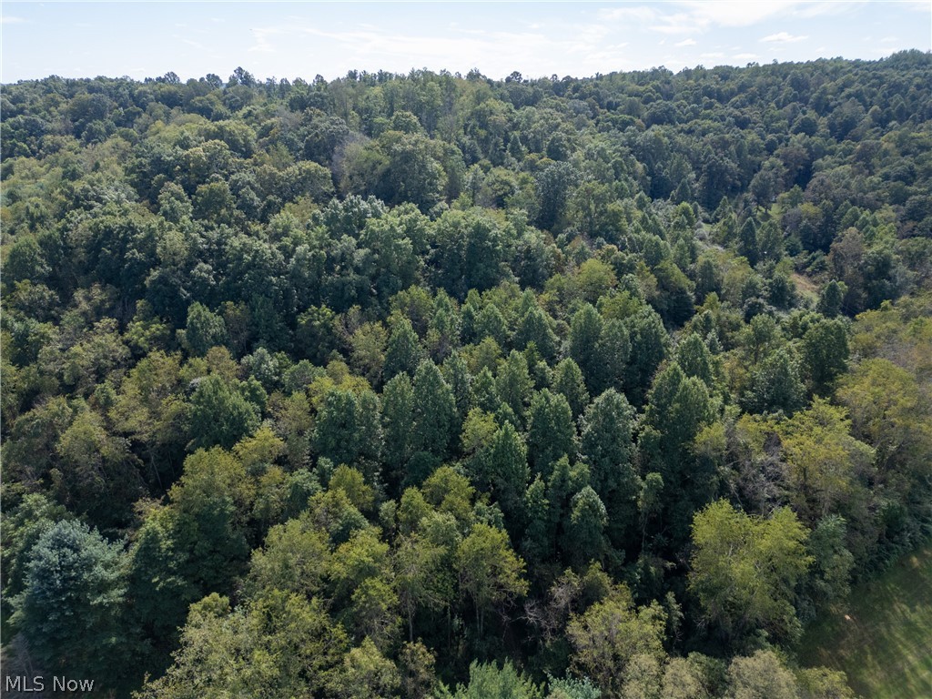 37817 Township Road 437a Dresden OH 43821