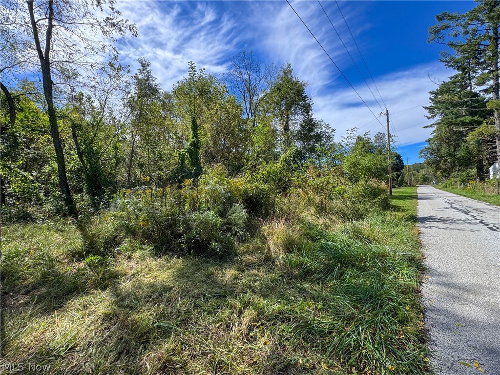 37817 Township Road 437a Dresden OH 43821