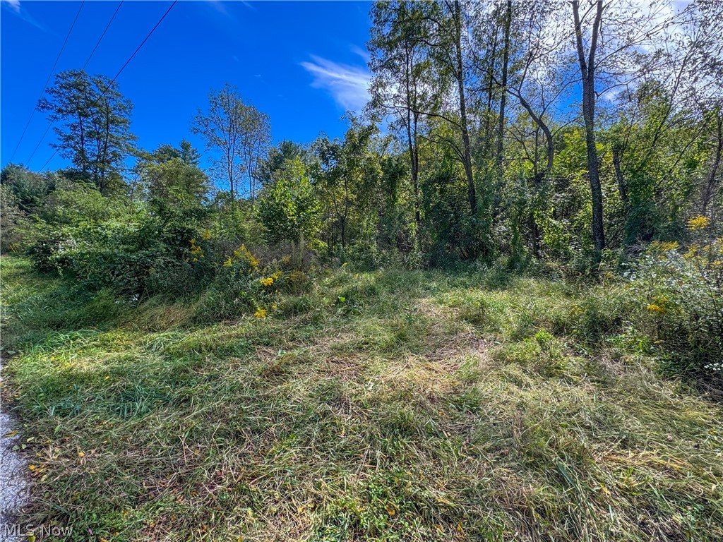 37817 Township Road 437a Dresden OH 43821