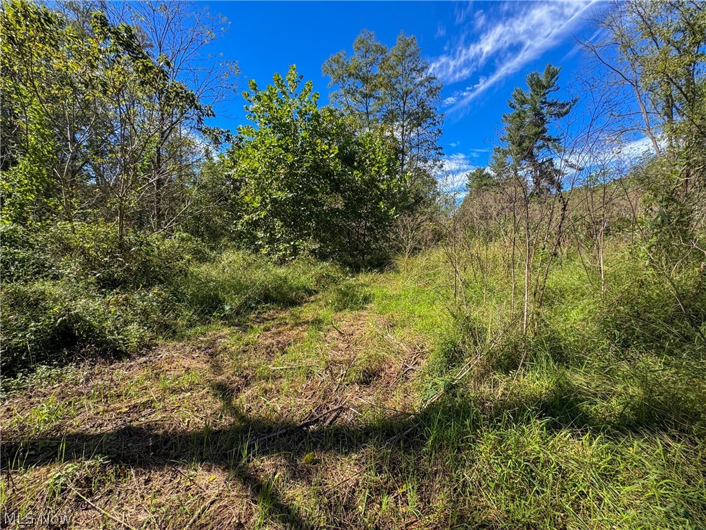 37817 Township Road 437a Dresden OH 43821