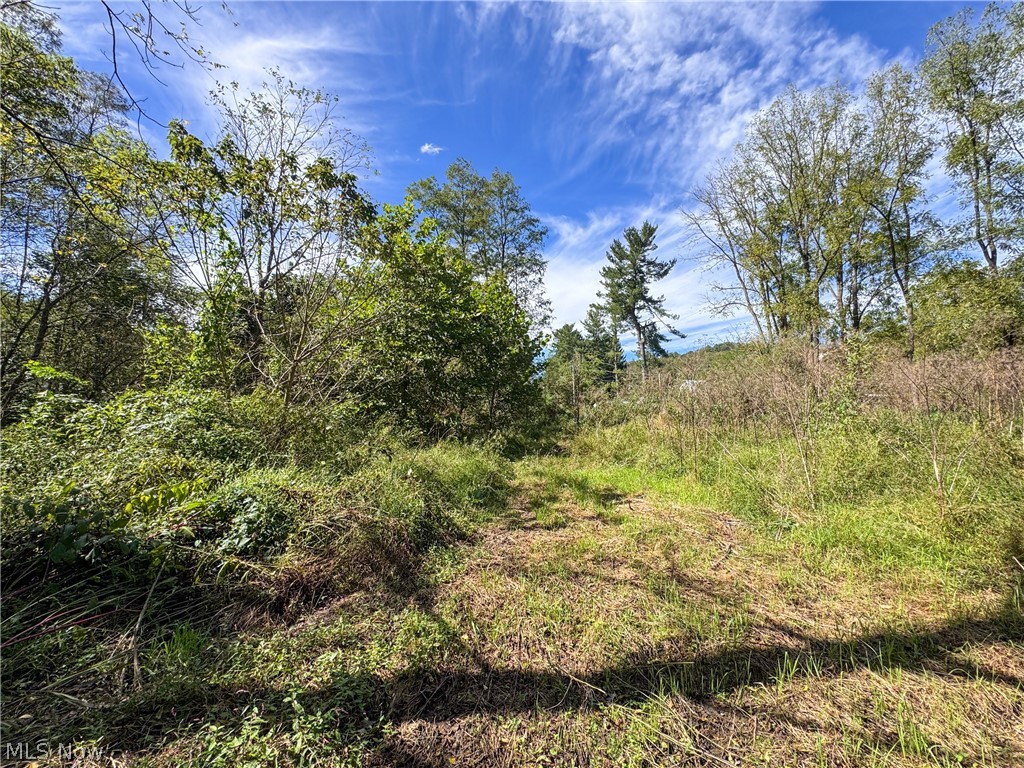 37817 Township Road 437a Dresden OH 43821