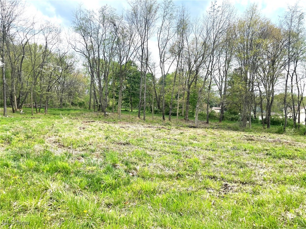 Lot #22 Forest Avenue SE Massillon OH 44646