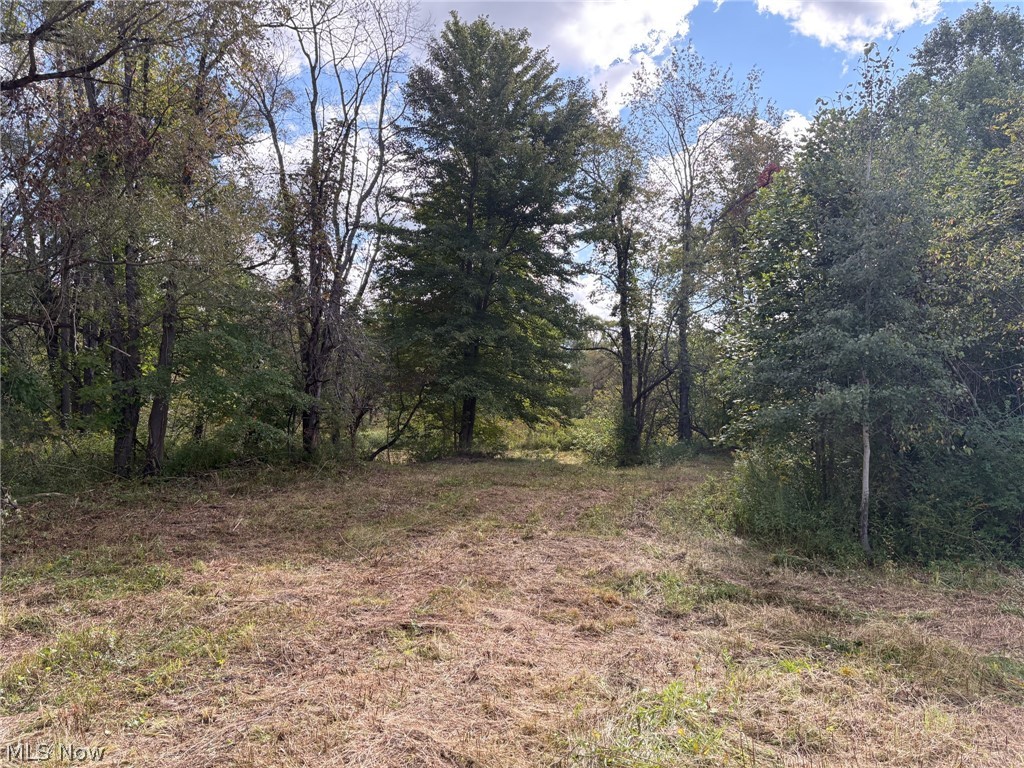 Scribner Road Pierpont OH 44082