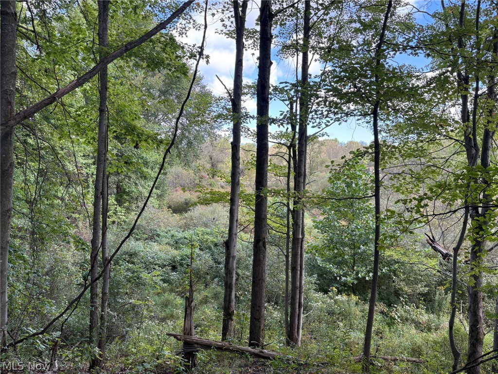Scribner Road Pierpont OH 44082