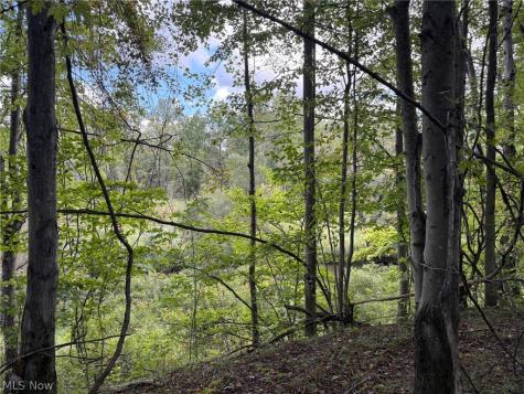 Scribner Road Pierpont OH 44082