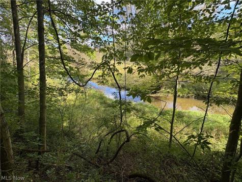 Scribner Road Pierpont OH 44082