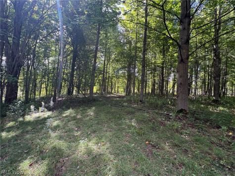 Scribner Road Pierpont OH 44082