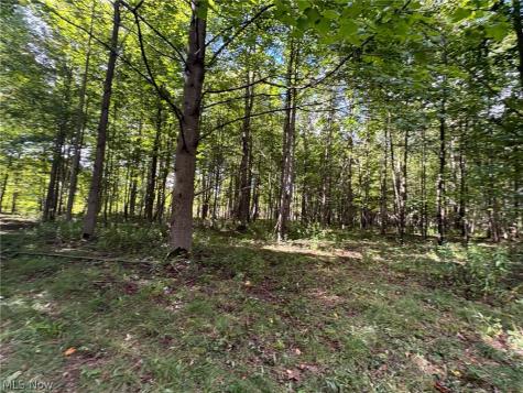 Scribner Road Pierpont OH 44082