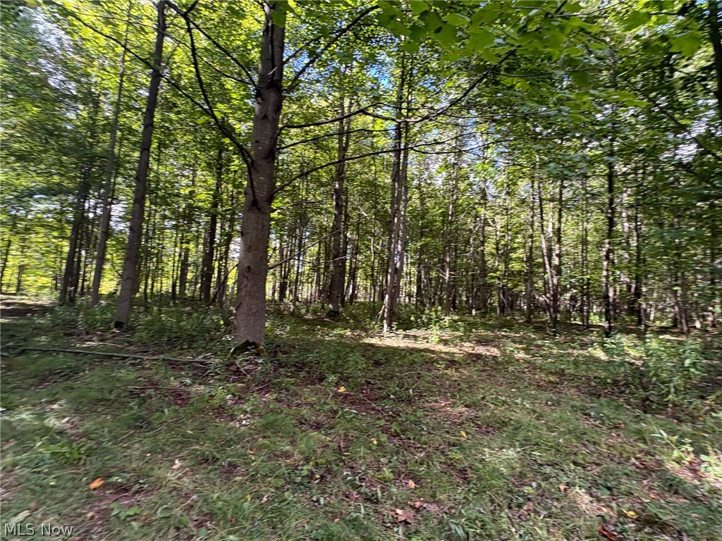 Scribner Road Pierpont OH 44082