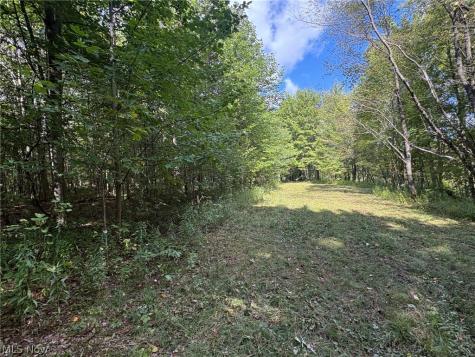 Scribner Road Pierpont OH 44082