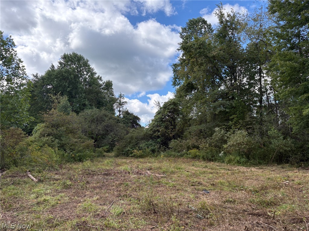 Scribner Road Pierpont OH 44082