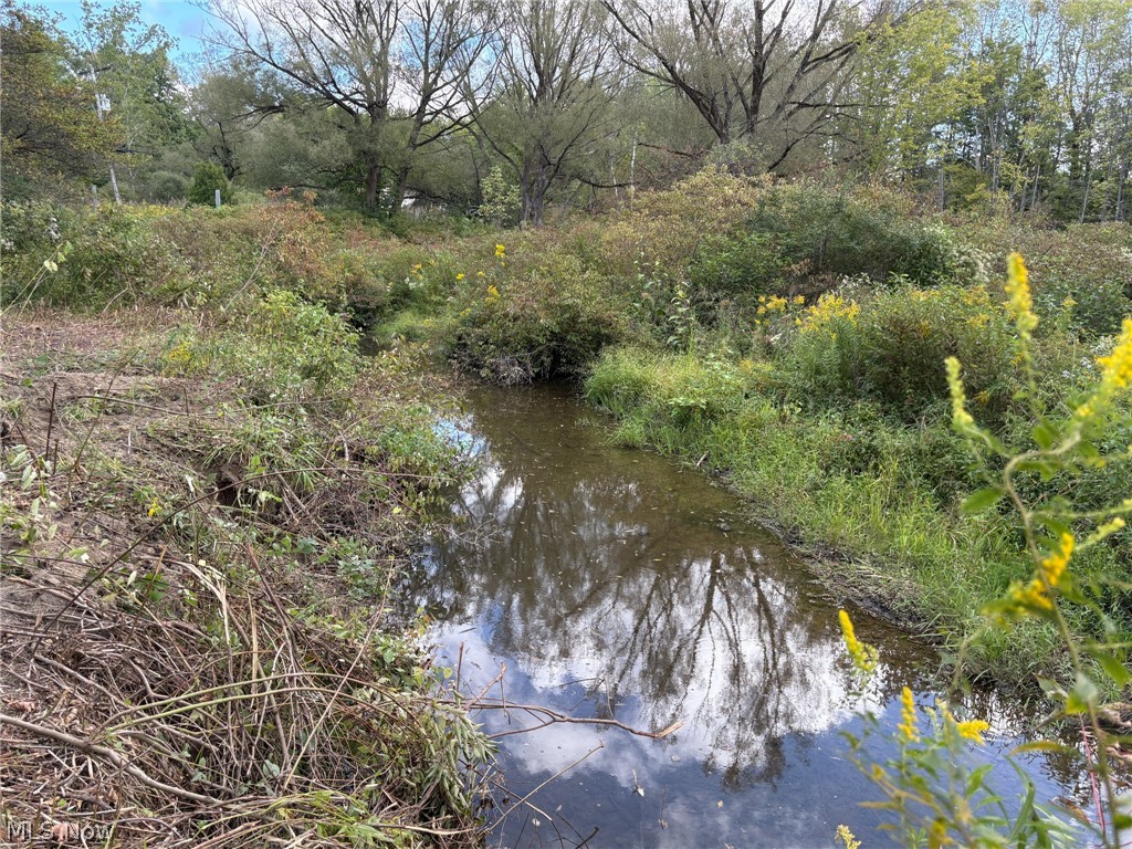 Scribner Road Pierpont OH 44082