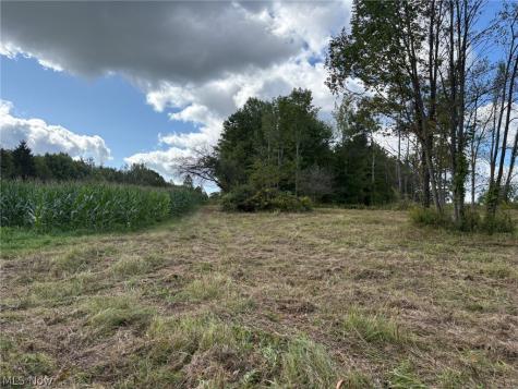 Scribner Road Pierpont OH 44082