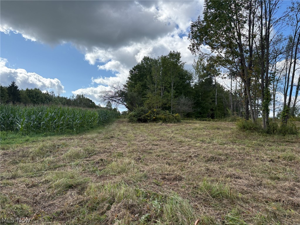 Scribner Road Pierpont OH 44082